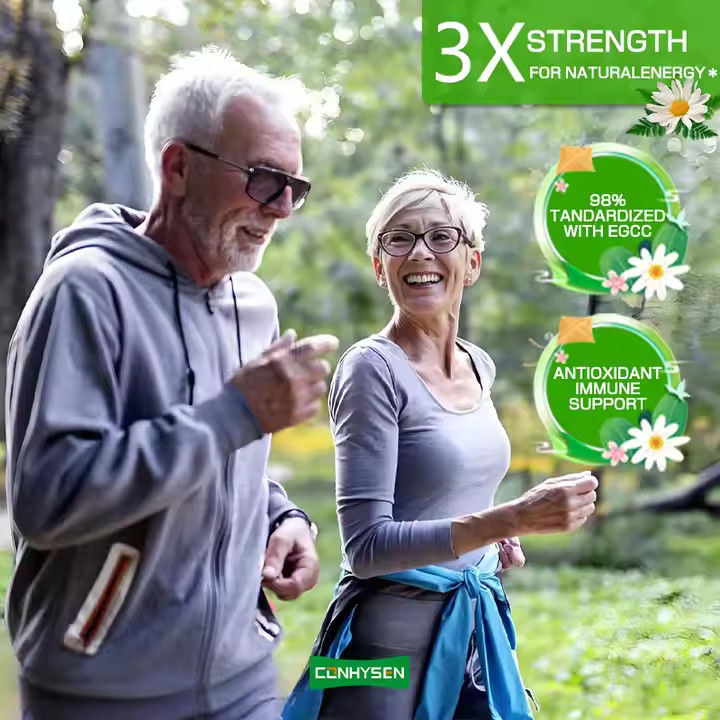 OEM ODM cápsulas de chá verde orgânico para o metabolismo emagrecimento pílula queima gordura