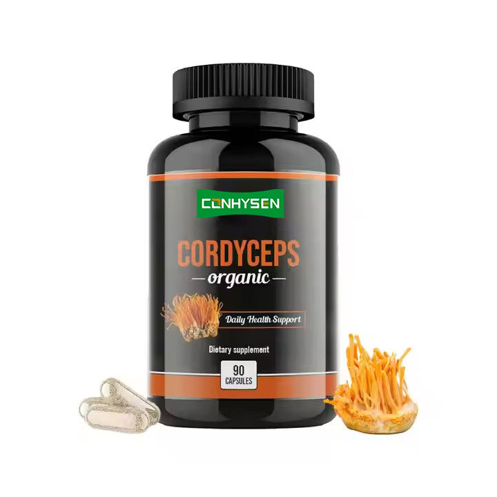 OEM ODM cápsulas orgânicas de cordyceps promove a função cerebral cápsulas de suplemento de ervas