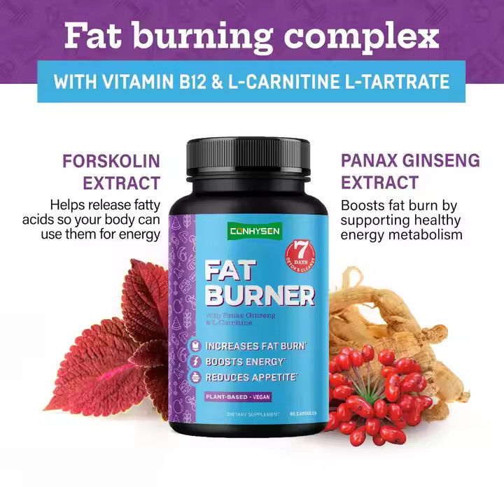 OEM Logotipo cápsulas de queimador de gordura com vitamina B12 L-carnitina L-tartrato reduz o apetite