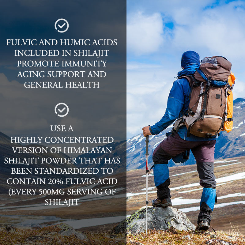 Supplement Manufacturer Shilajit Capsules 2000mg Strength For Aging Support And General Health