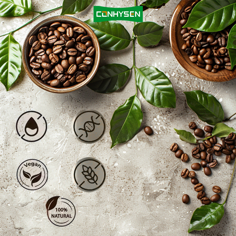 Bebida Refrescante de Preço Mais Baixo Aumenta a Energia Cogumelo Café com Cordyceps Reishi Sem Glutena