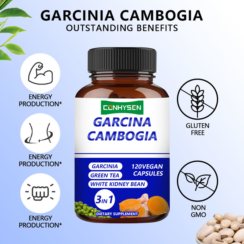 Rótulos Privados Garcinia Cambogia cápsulas 3 em 1 Suplemento Suporta o Equilíbrio do Corpo com Chá Verde