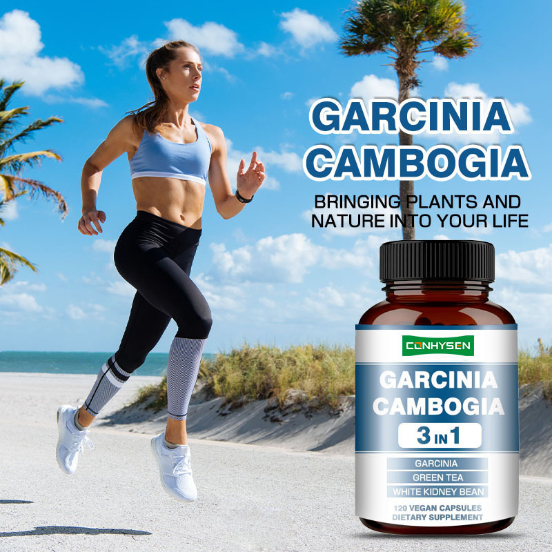 Cápsulas Premium Personalizadas de Garcinia Cambogia com Feijão Branco para Produção de Energia