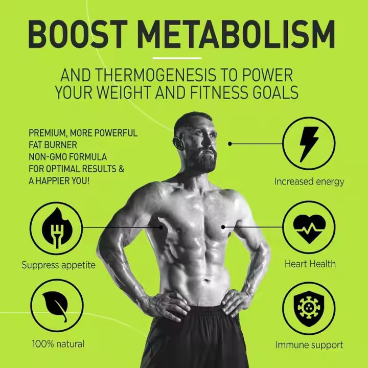 Queimador de Gordura de Chá Verde Premium para Perda de Peso Natural, Acelerador do Metabolismo, Suporte de Desintoxicação com Benefícios para Imunidade e Energia