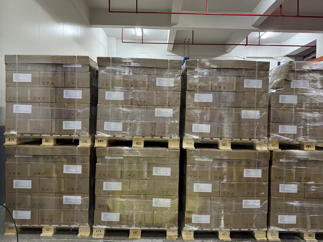 Caixa de Ferro de Cápsulas de Emagrecimento para Suporte à Perda de Peso e Apoio à Imunidade OEM ODM