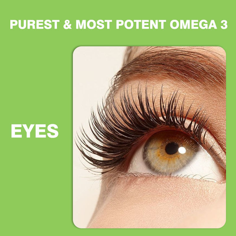 Gomas de Ômega 3-6-9 Mais Vendidas para Crianças e Adultos Suplemento de Vitaminas para Cérebro e Coração Suplementos de DHA para Adolescentes