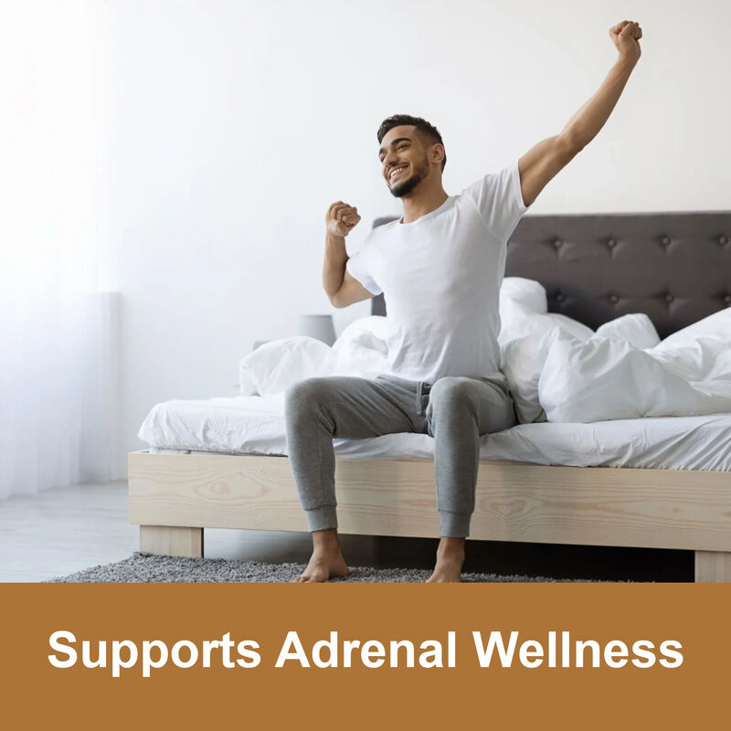 Gomas de Raiz de Maca de Marca Própria de Alta Qualidade Suplemento para Aumentar a Energia Masculina 1800mg Gomas de Extrato de Maca para Mulheres e Homens