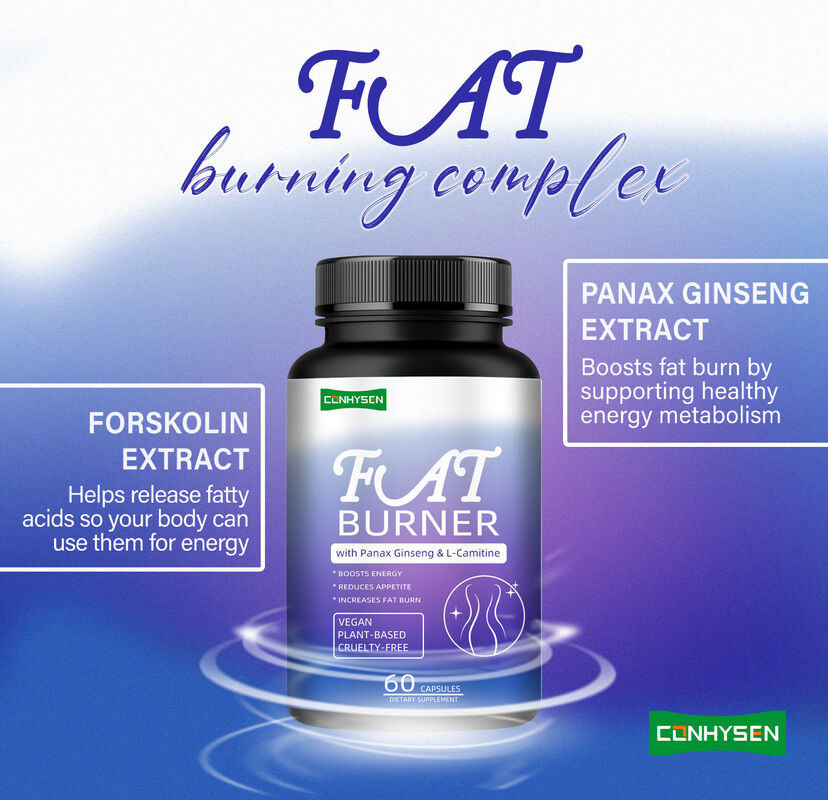 Suplemento de queima de gordura de alta qualidade para homens mulheres com Panax Ginseng, L-carnitina extracto 60 gordura vegetariana fibra dietética