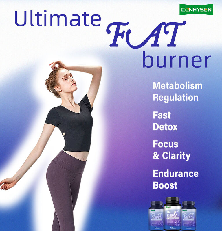Suplemento de queima de gordura de alta qualidade para homens mulheres com Panax Ginseng, L-carnitina extracto 60 gordura vegetariana fibra dietética