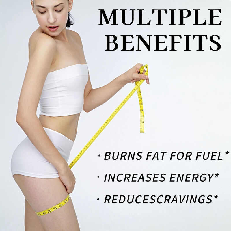 Suplementos de Fibra Dietética de Marca Própria Cápsulas Queimadoras de Gordura Produtos de Beleza Suplemento Supressor de Apetite e Energizante