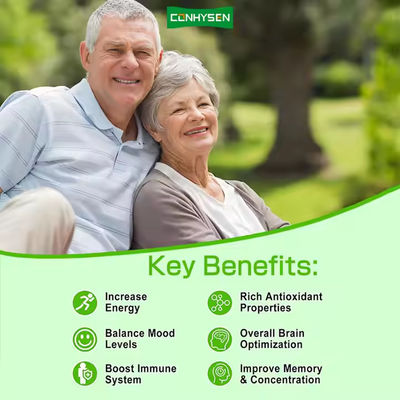 Ashwagandha Ginkgo Biloba Gummies Suporte à otimização geral do cérebro Suplemento de ervas