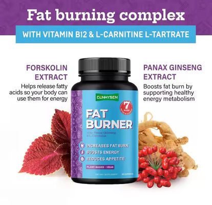OEM Logotipo cápsulas de queimador de gordura com vitamina B12 L-carnitina L-tartrato reduz o apetite
