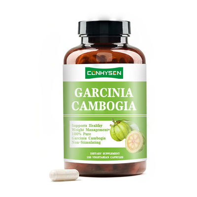 100% de Garcinia Cambogia Puras Suporta Gestão Saudável do Peso